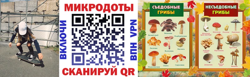 Галлюциногенные грибы Psilocybe  Богородицк 
