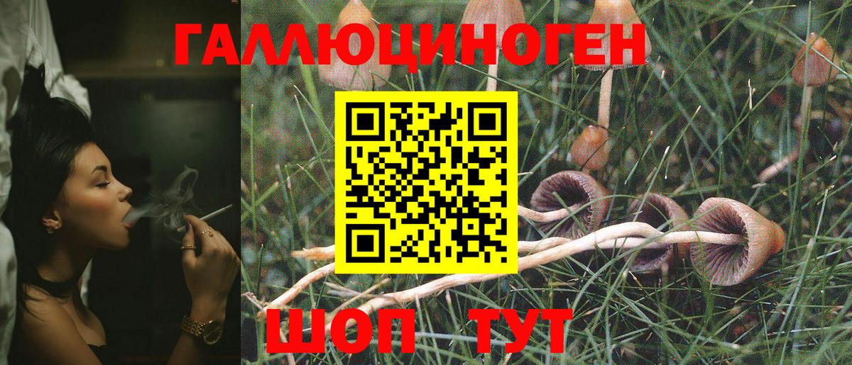 Псилоцибиновые грибы Magic Shrooms  Вход с VPN  Богородицк 
